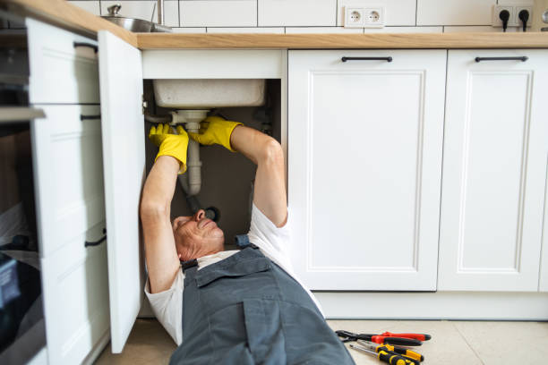 Best Plumbing Repair Near Me  in Hamtramck, MI